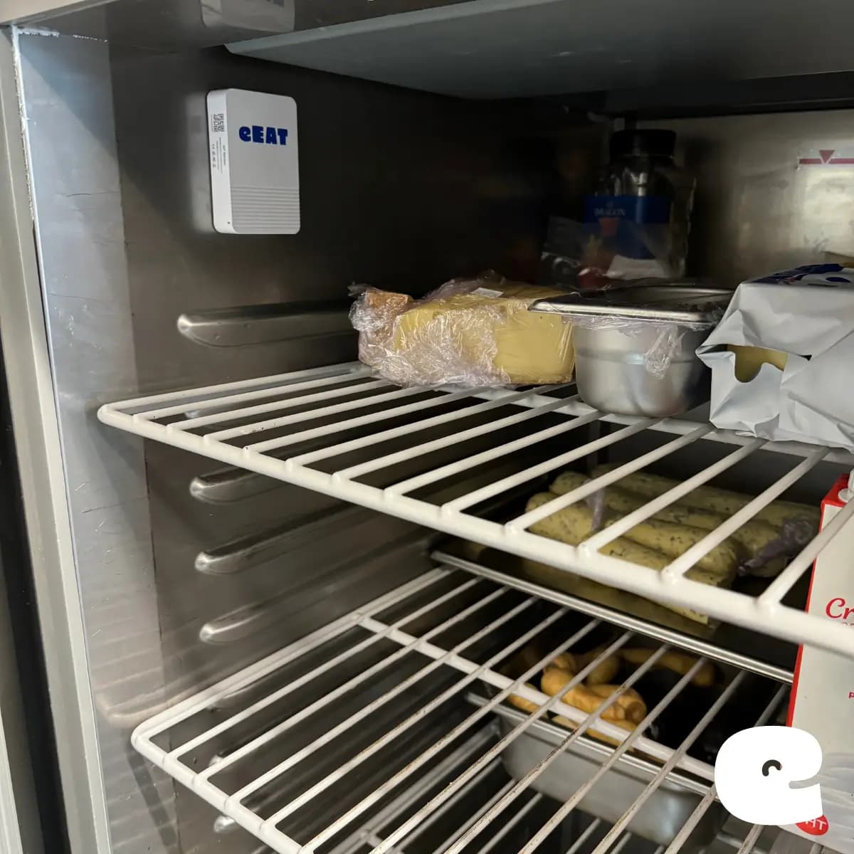 Découvrez le thermomètre connecté de eEAT