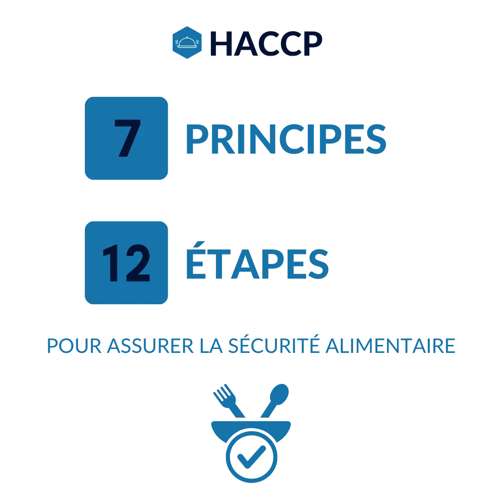 MANIQUES DE PROTECTION À LA CHALEUR 25 x 25 (x 6) - Sanipousse produits  HACCP